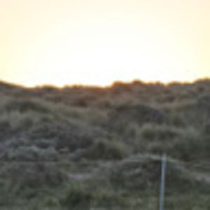 Meet your Posher, Liz